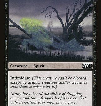 Accursed Spirit [Magic 2014] For Discount